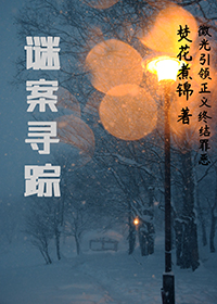迷案寻凶好看吗